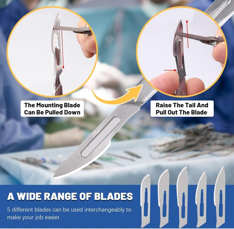 Glarks 52Pcs Surgical Grade Blade with Handle Kit, 50Pcs #20#21#22#23#24 Disposable Surgical Blade Sterile Scalpel Blade with 2Pcs #4 Scalpel Handle for Biology Lab Anatomy, Practicing Cutting - Image 4